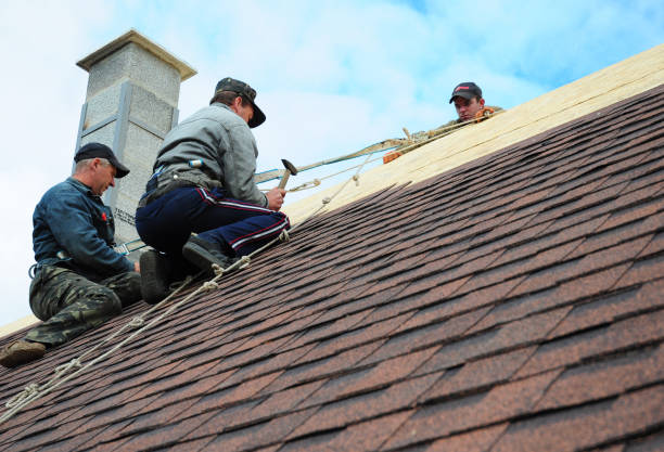 Best Gutter Installation and Roofing  in Huntsville, AL